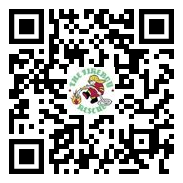 韦德体育 (中国大陆)官方网站bet